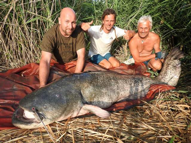 Provence fishing