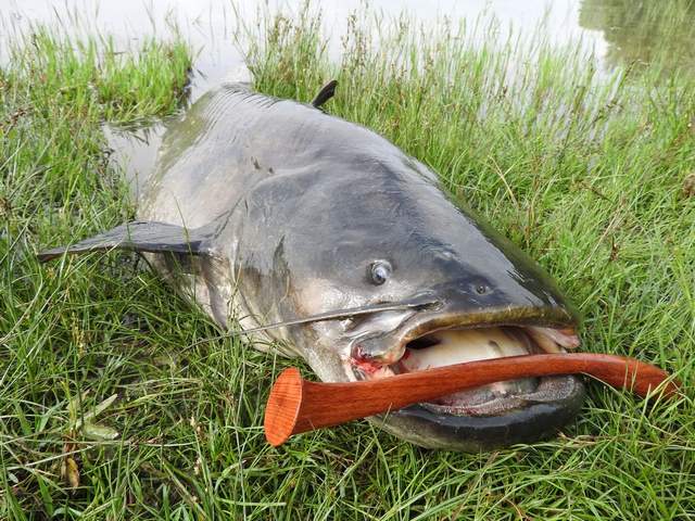 Provence fishing