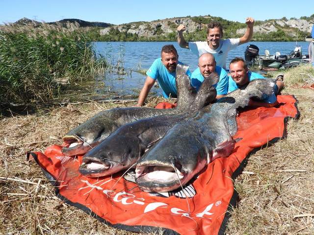 Provence fishing