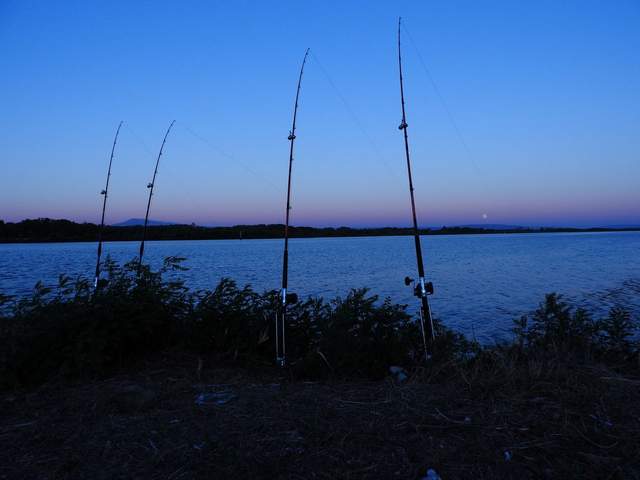 Provence fishing