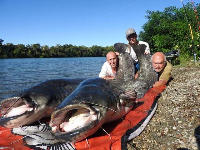 Provence fishing